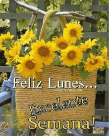 a bicycle with a basket of sunflowers on it