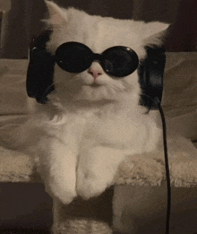 a white cat wearing sunglasses and headphones is sitting on a cat tree