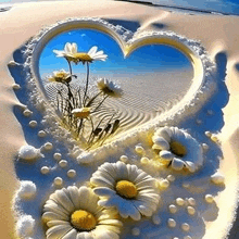 a heart shaped frame with daisies in it on a beach .