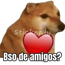 a dog with a red heart and the words bso de amigos below it