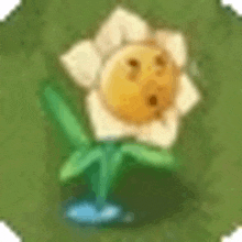 a yellow and white flower with a face on it is growing out of the ground .