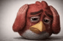 a red angry bird with a sad face is covering his ears with his hands .