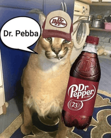 a cat wearing a dr pepper hat is holding a bottle