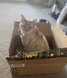 a cat sitting in a cardboard box with a bag that says free shipping on it