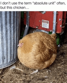 a picture of a chicken with the caption " i don t use the term " absolute unit " often but this chicken