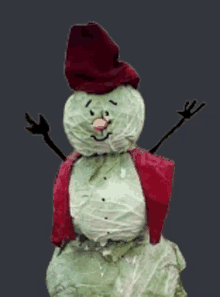 a snowman made out of cabbage is wearing a red hat and scarf