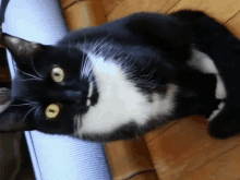 a black and white cat is laying on a yoga mat