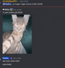 a screenshot of a chat with bitsu and heeche