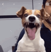 a man is holding a dog with its tongue hanging out and it is smiling .
