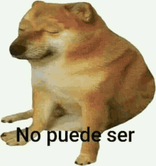 a dog with its eyes closed and the words `` no puede ser '' on it .