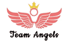 a logo for team angels with wings and a crown on top