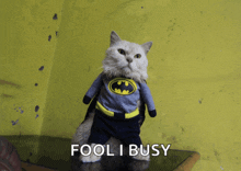 a cat dressed in a batman costume with the words fool i busy below it