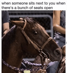 a horse with a bunch of seats open next to someone