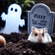 a hamster is laying in the dirt next to a tombstone that says fizzy