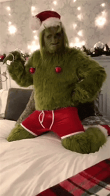 a grinch costume is sitting on a bed