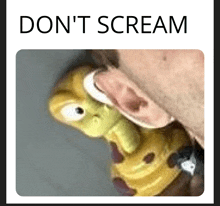 a picture of a person holding a stuffed animal with the words " do n't scream " above it