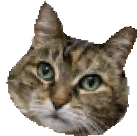 a pixelated image of a cat 's face with green eyes