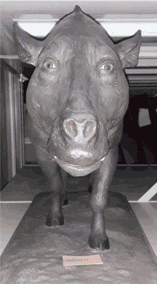 a statue of a pig with a tag that says ' a statue of a pig '