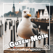 a picture of a seagull with the words guten moin