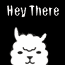 a white llama is standing in front of a black background with the words `` hey there '' written above it .