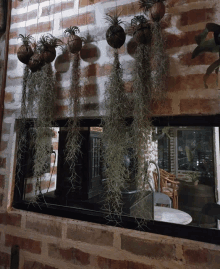 hanging plants on a brick wall with a sign that says " welcome " on it