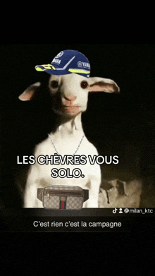 a goat is wearing a yamaha hat and a gucci bag