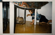 a child crawling under a table looking at a rabbit wearing a shirt that says ps