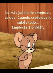 a picture of a cartoon mouse with a quote in spanish