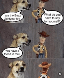 a dog is talking to a toy story woody doll and asking him what do you have to say for yourself .