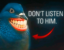 a picture of a pigeon with a fake mouth and the words " do n't listen to him "