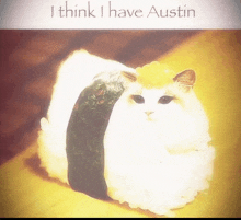 a picture of a cat wrapped in sushi with the words " i think i have austin " below it