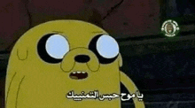 a cartoon character from adventure time with arabic writing on it 's face .