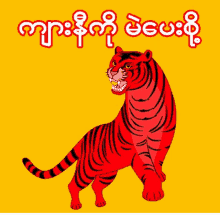 a red and black tiger is on a yellow background