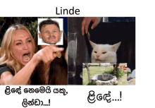 a picture of a woman pointing at a man and a picture of a cat with the words linde in the bottom right corner