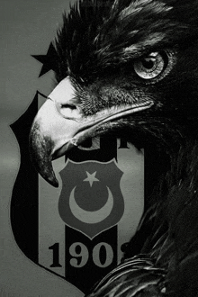 a black and white photo of an eagle with a shield that says 190 on it