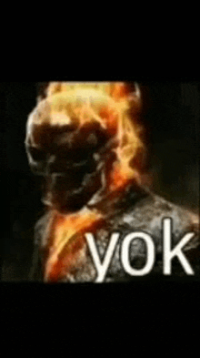 a close up of a ghost rider with fire coming out of his head and the word yok on the bottom .