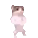 a white cat is jumping in the air with its paw up .