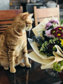 a cat is looking at a bouquet of flowers