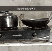 a mouse sits in a frying pan on a stove with the caption i fucking knew it