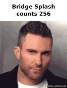 a picture of a man with the words bridge splash counts 256 above him