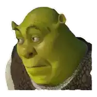 shrek from the movie shrek is looking at the camera with a serious look on his face