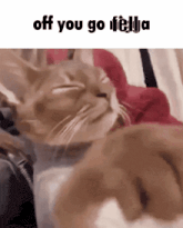 a picture of a cat with the words off you go fella