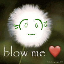 a drawing of a dandelion with a face and the words blow me below it