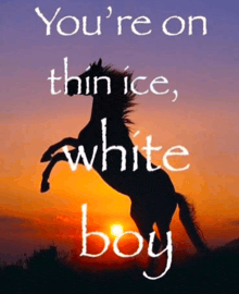 a picture of a horse with the words " you 're on thin ice white boy " above it