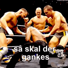 a group of wrestlers are fighting in a ring with the words sa skal der gankes on the bottom