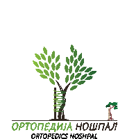 a logo for orthopedics noshpal shows a tree with leaves on it