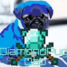 a blue pug dog is wearing a blue jacket with a diamond on it .