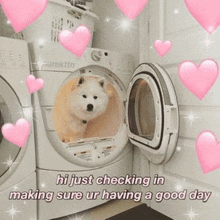 a dog is sitting in a washer and dryer with hearts around it