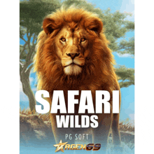 a poster for safari wilds shows a lion in the wild