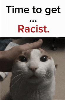 a picture of a cat with the words time to get racist